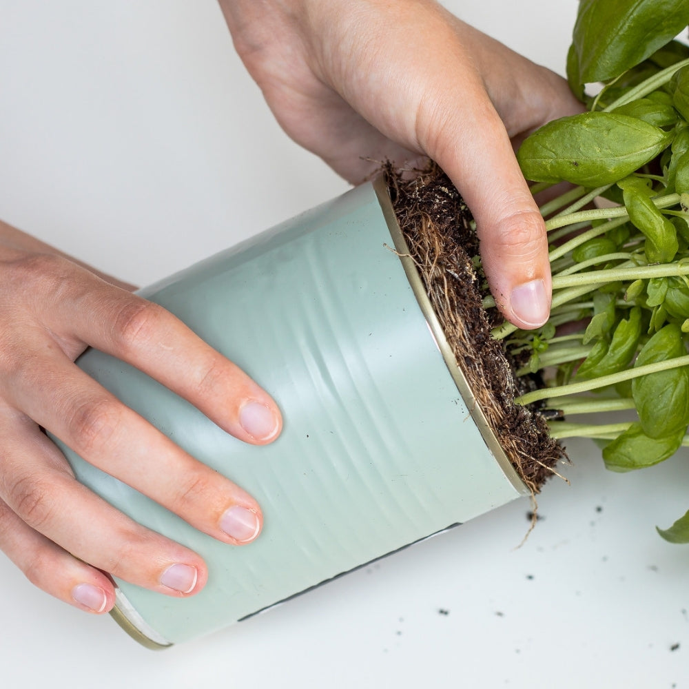 Sage Green Matte | Adhesive Vinyl - various sizes