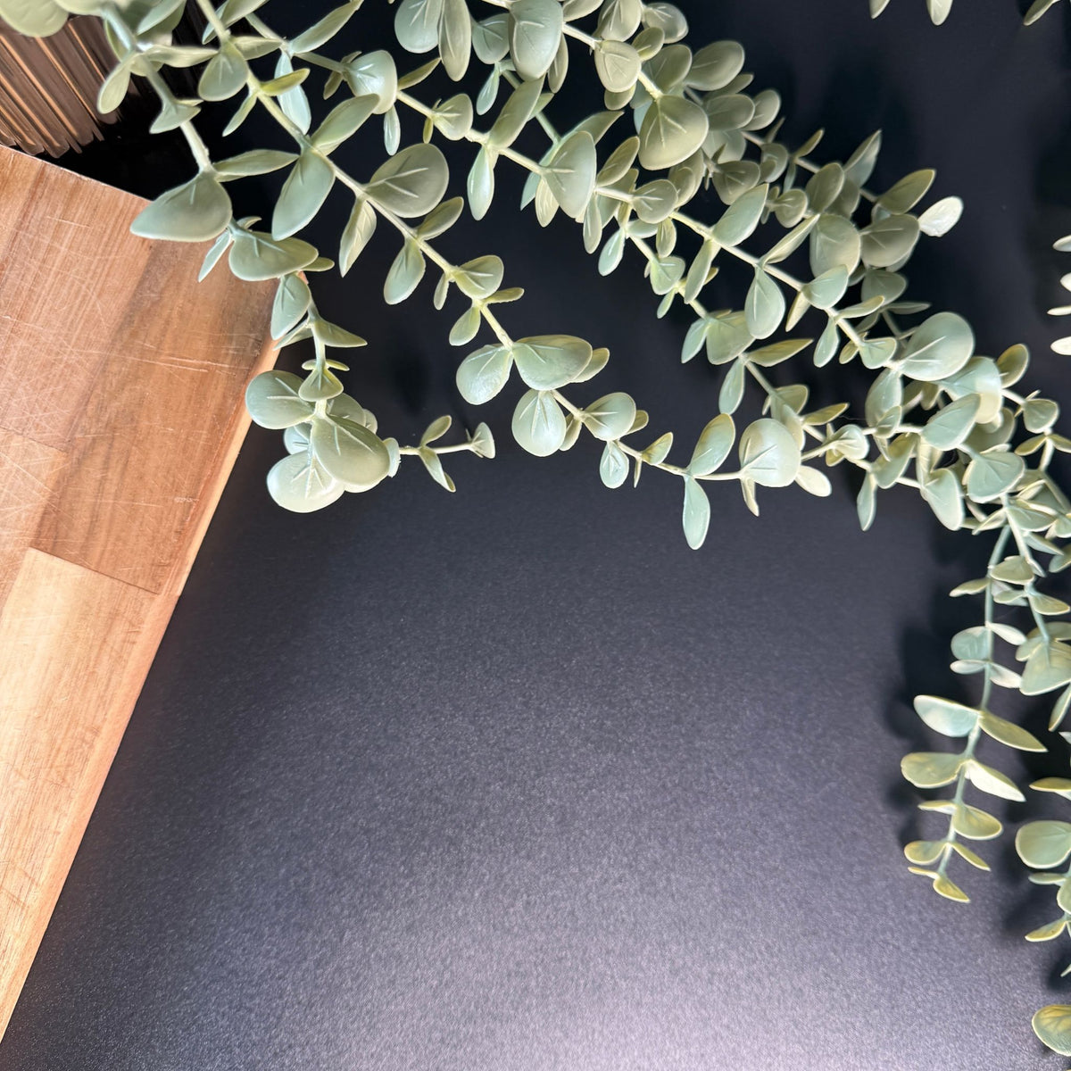 Basic Black Textured architectural grain vinyl with chopping board and green plant