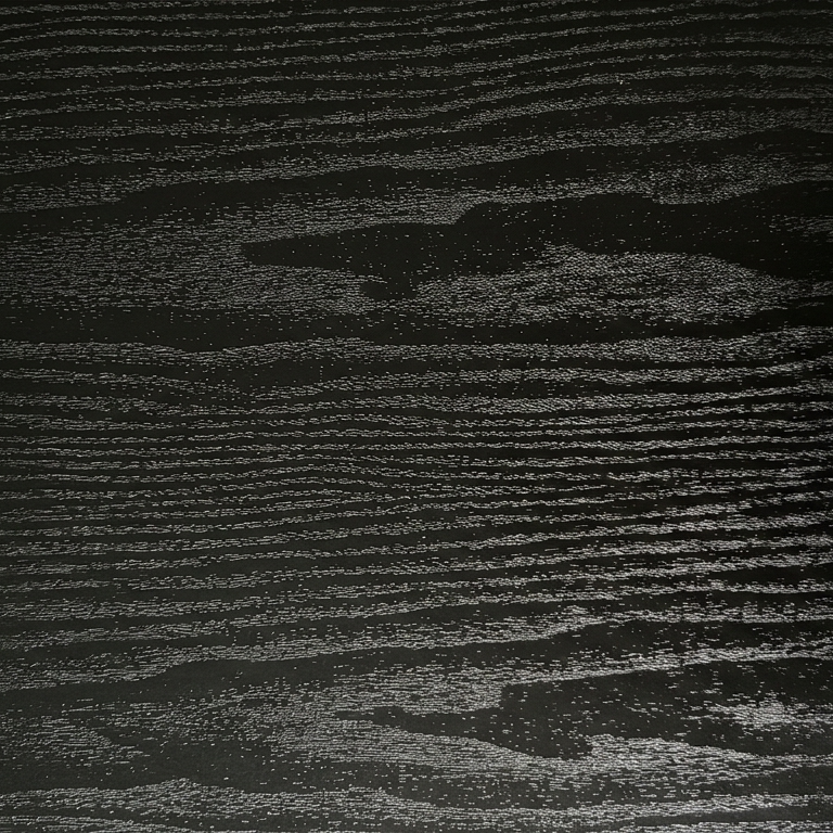 Modern kitchen with black cabinets and white countertops