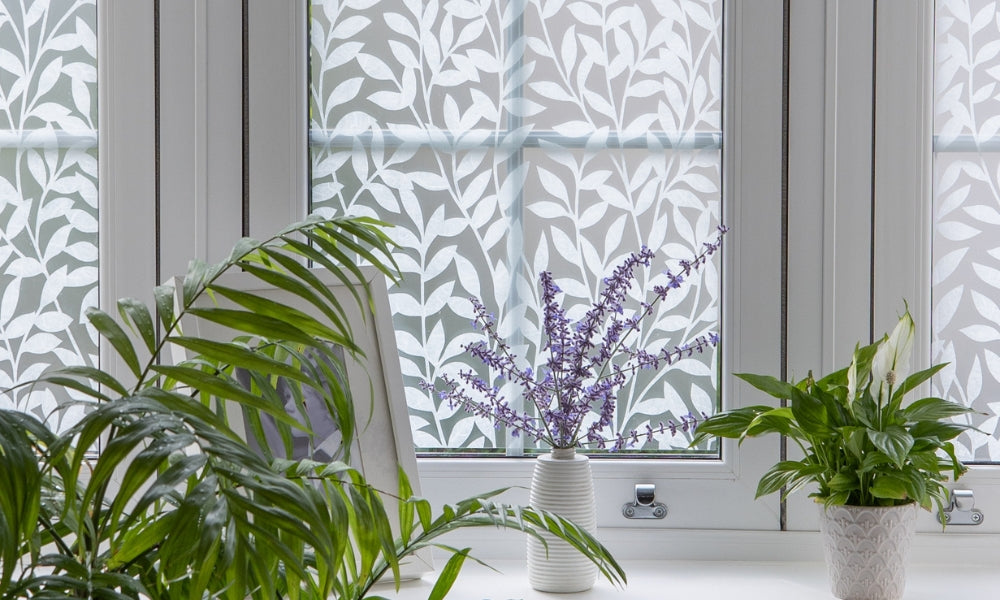 Decorative window film with leaf pattern on a window with plants in the foreground.