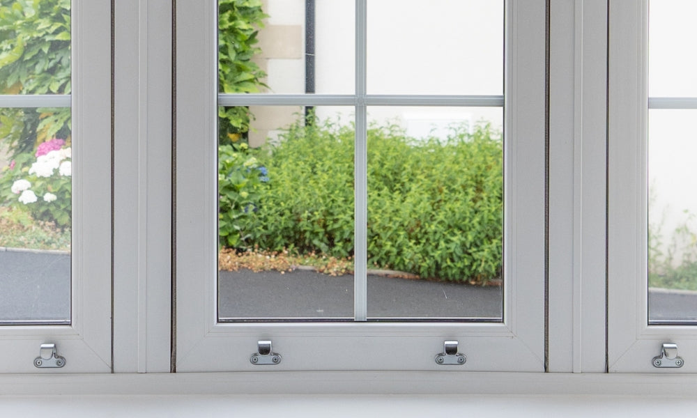 Window with white frame and glass panes showing a garden view.