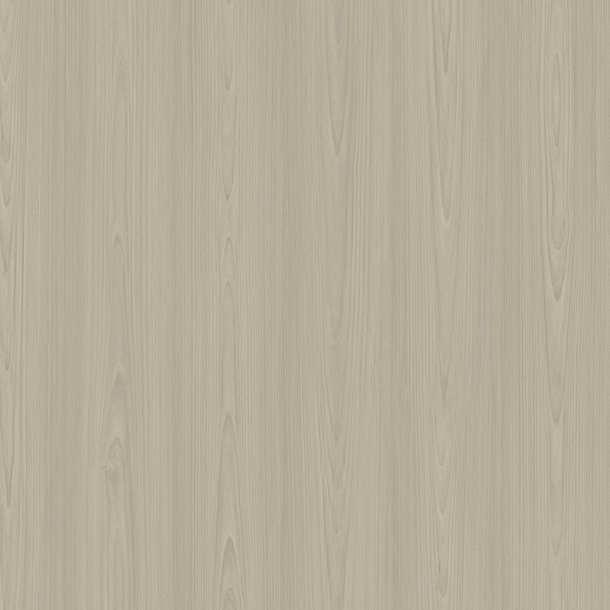 Syncamore Flat Grain Lime architectural grade adhesive vinyl colour swatch