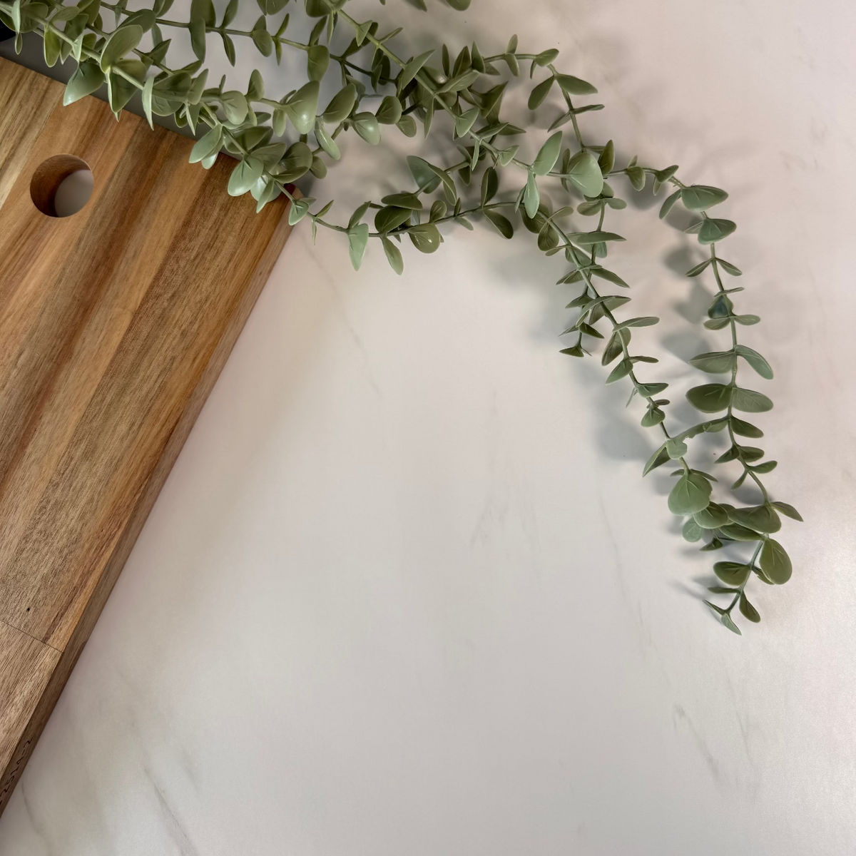 Green leafy branch on a wooden cutting board with a marble background