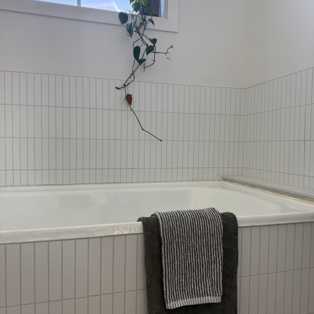 A white tiled bathroom with a built-in bathtub, a dark green bath towel and a striped gray-and-white towel draped over the tub edge, and a small trailing plant hanging near the window.