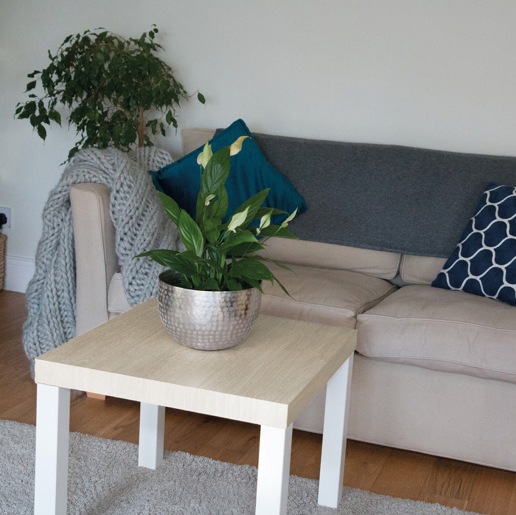 coffee table covered with santana oak lime adhesive vinyl