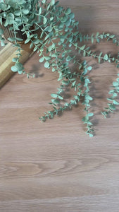 close up video of oak plat grain natural light adhesive vinyl TGA