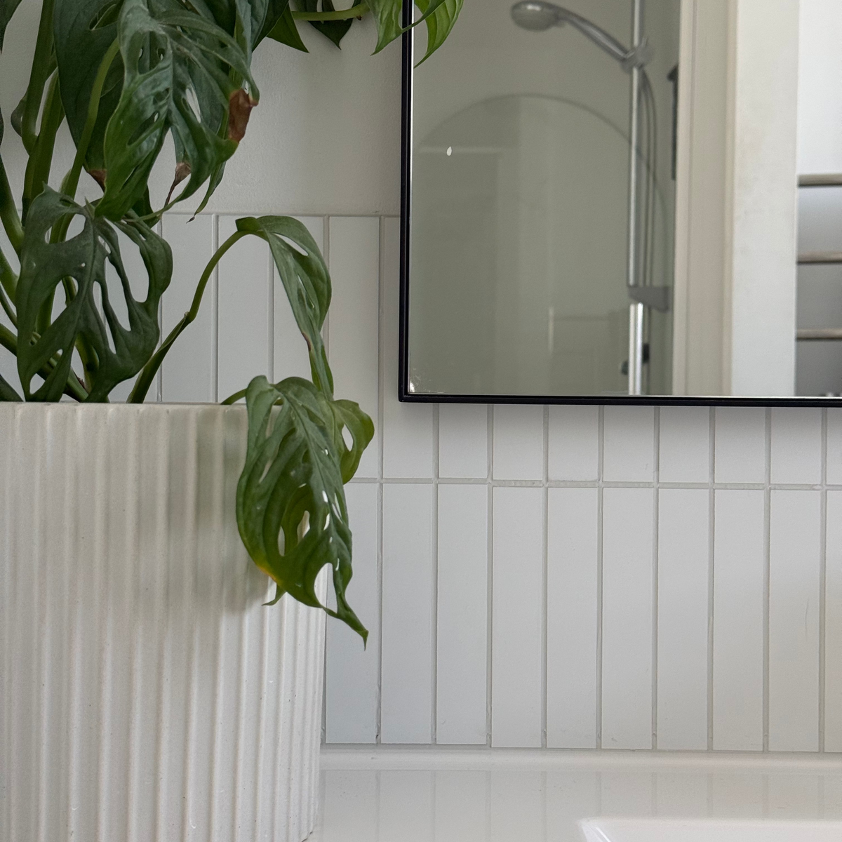 A large green monstera plant in a white ribbed ceramic pot, set against a white tiled bathroom wall with a mirror and bathtub edge visible.